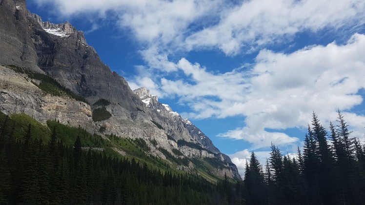 2017-06-17 10.24.19.jpg