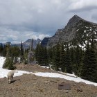 2017-06-29 09.33.04 (2)