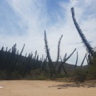 2017-11-14 13.45.33 (2)